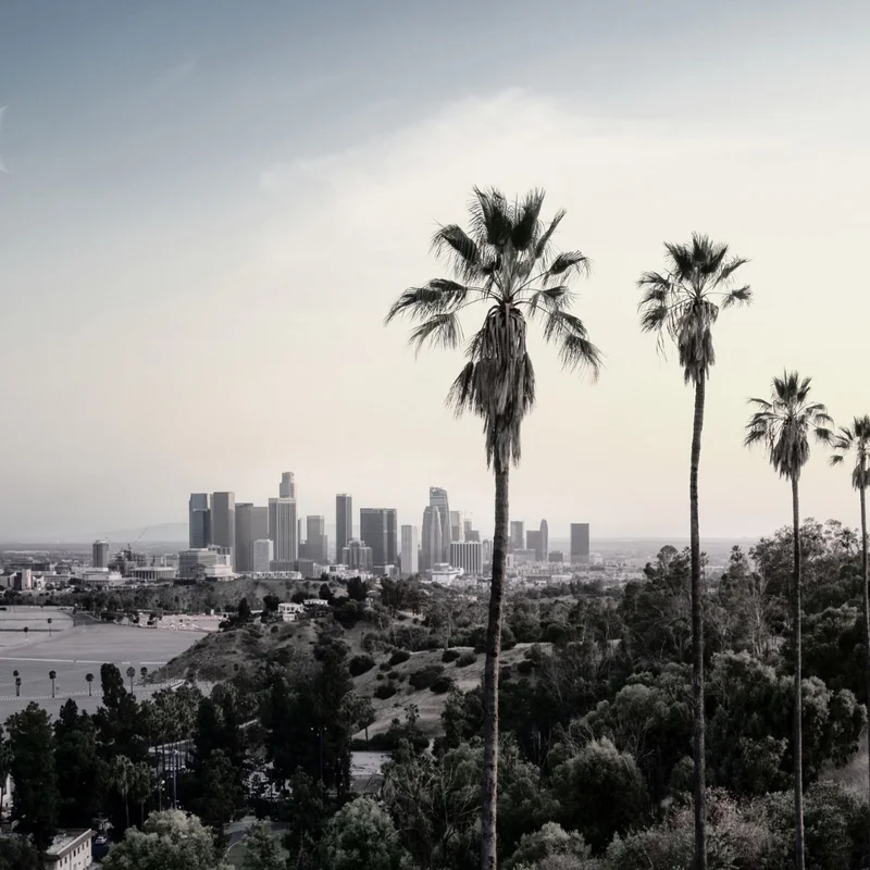 Find trusted matchmakers in Los Angeles - Professional matchmaking services